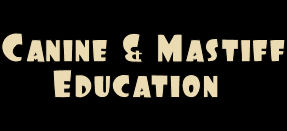 canine_and_mastiff_education.jpg