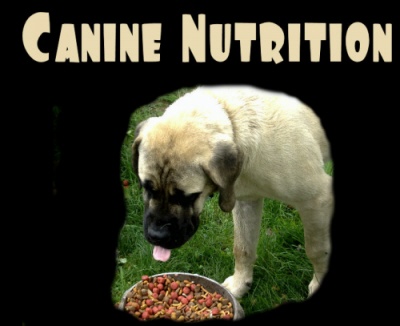 canine_nutrition_xander_eating.jpg