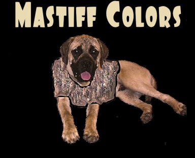 mastiff_colors_title_xander.jpg