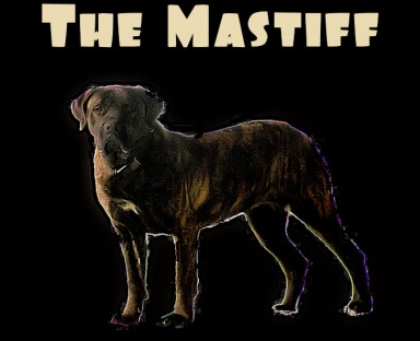 the_mastiff_shyann.jpg